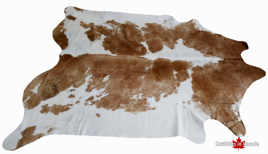 SUPER BIG SIZE XXXL Cowhide Rug - Premium Collection