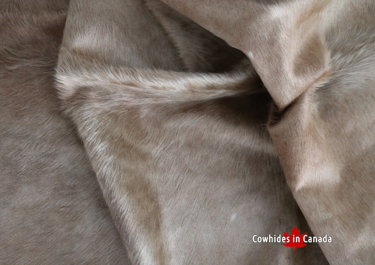 98389 - Cowhide Rug - Premium Collection – CowhidesInCanada