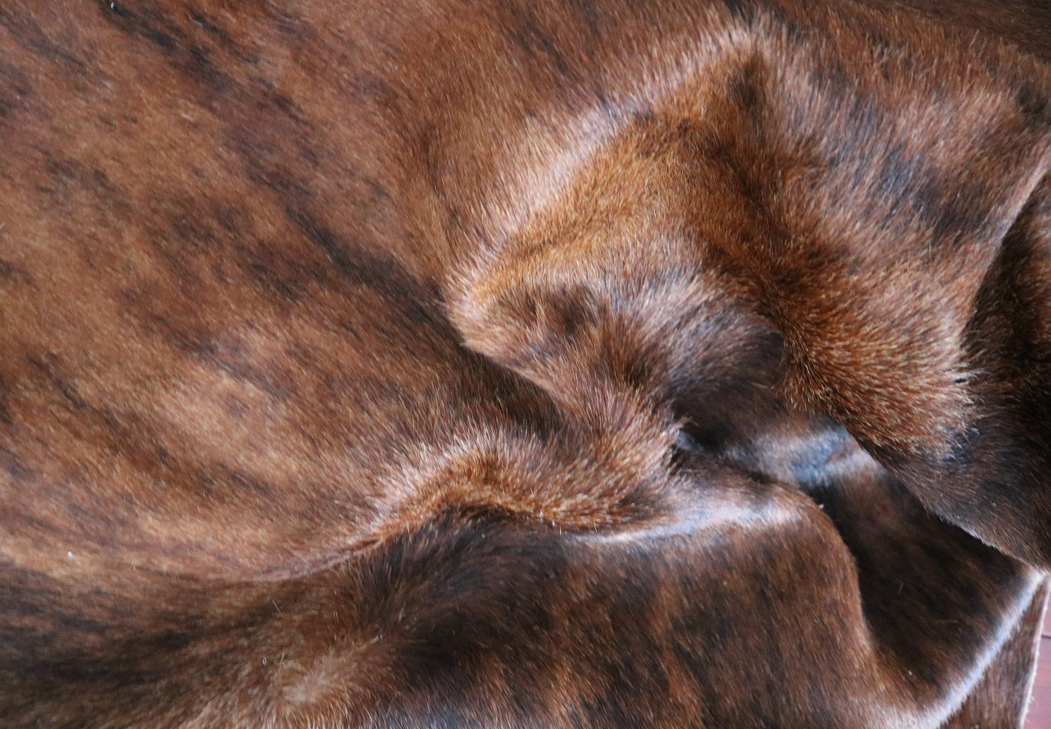 98588 - Brindle Cowhide Rug  - Premium Collection