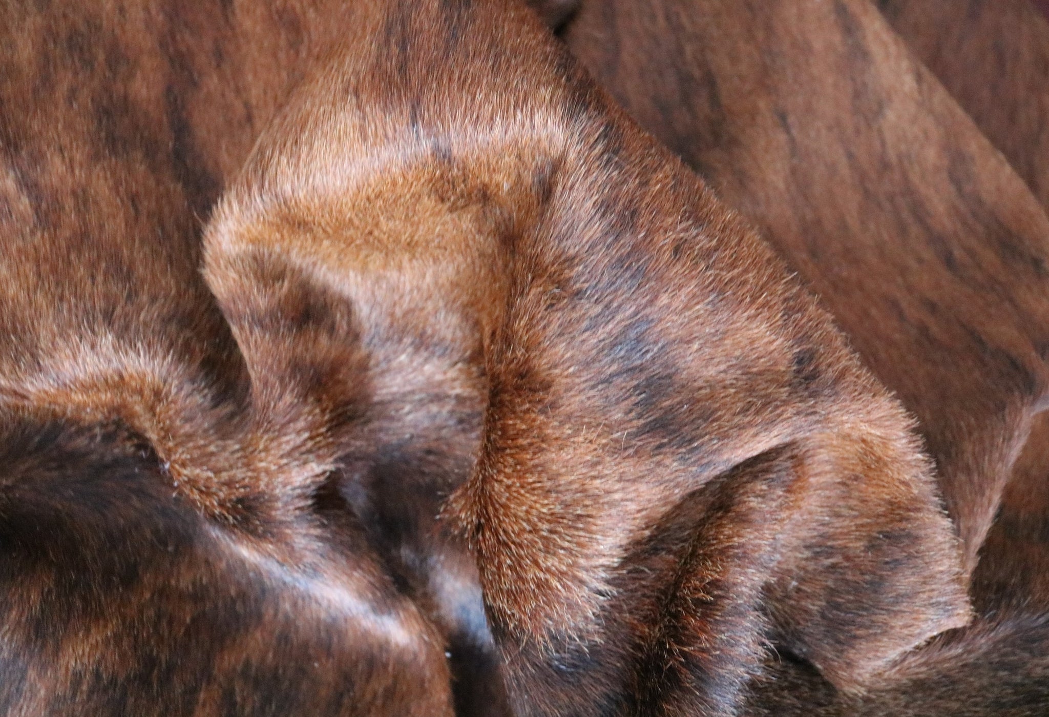 98588 - Brindle Cowhide Rug  - Premium Collection