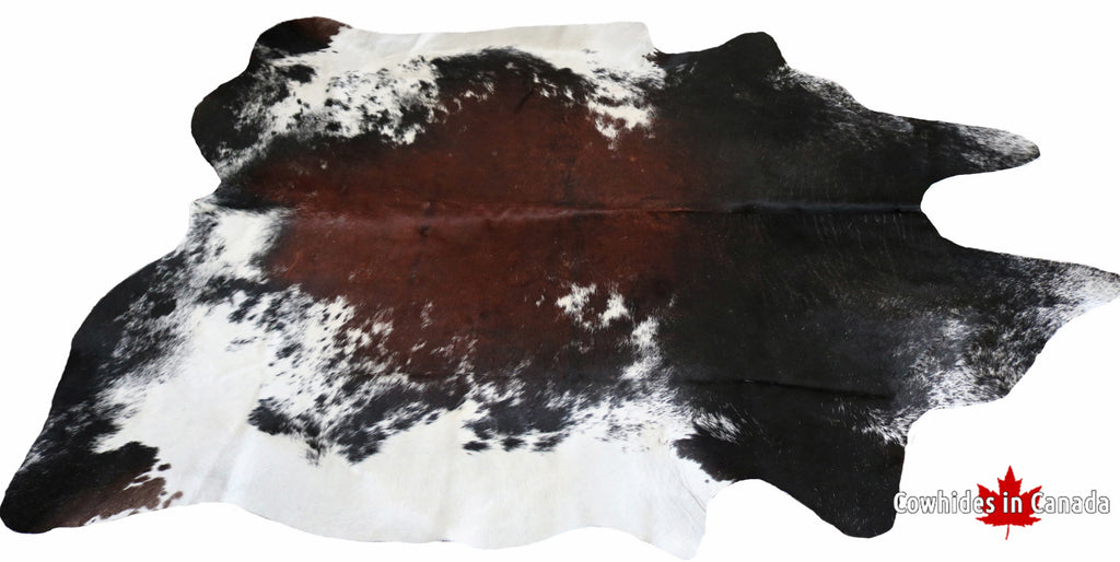 98611 - XXL BIG SIZE Cowhide Rug  Tricolor   - Premium Collection