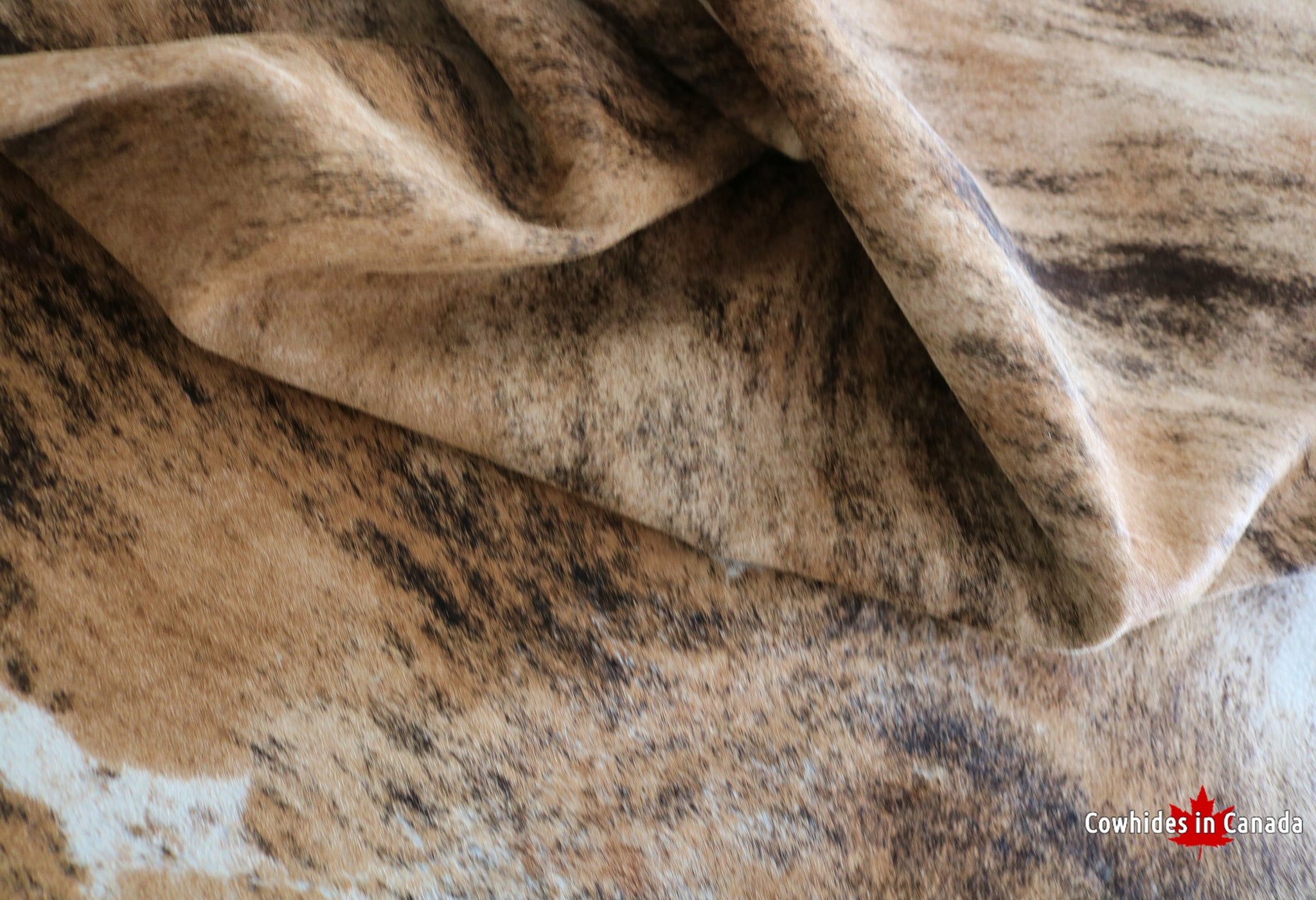 98657 - XXXL  Exotic Brindle Cowhide Rug SUPER BIG SIZE - Premium Collection