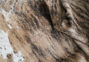 98657 - XXXL  Exotic Brindle Cowhide Rug SUPER BIG SIZE - Premium Collection