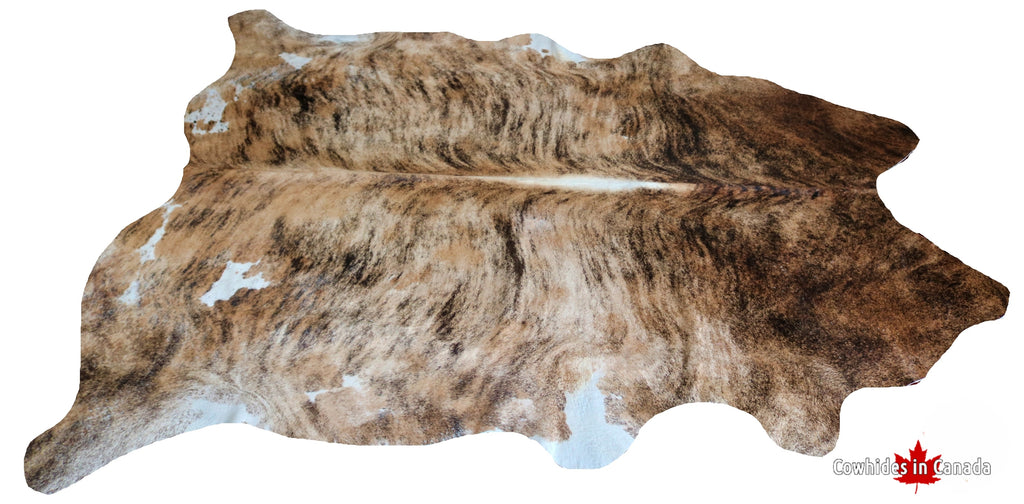 98657 - XXXL  Exotic Brindle Cowhide Rug SUPER BIG SIZE - Premium Collection