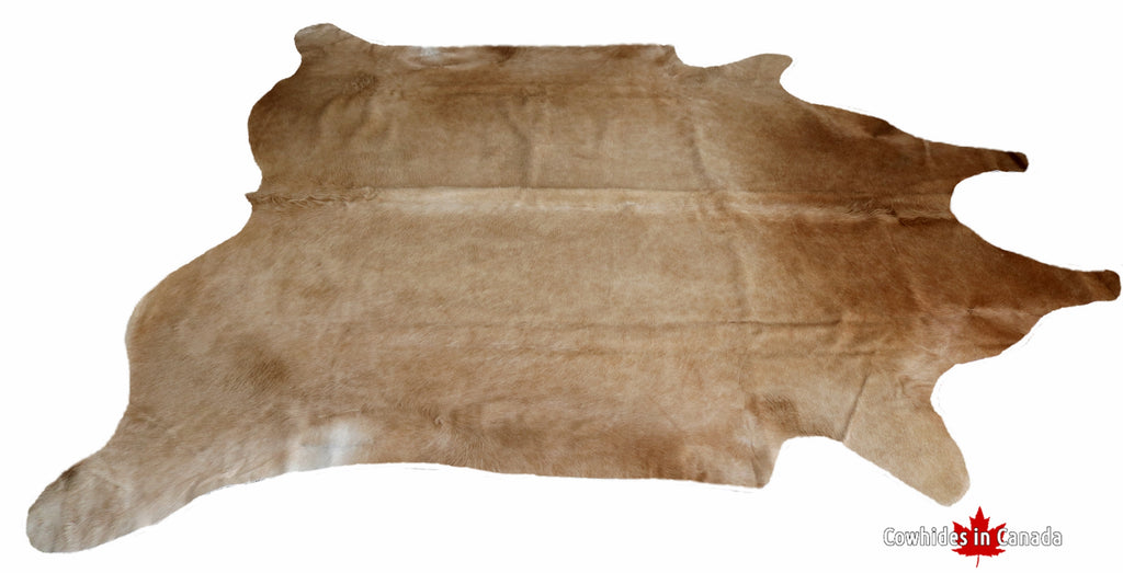 98660 - XXXL Brown Cowhide Rug  SUPER BIG SIZE  -  Premium Collection