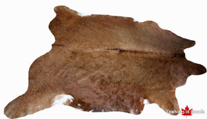 98713 - BIG SIZE XL Brown Cowhide Rug  -  Premium Collection
