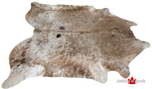 98992- XL Exotic Cowhide Rug  -BIG SIZE Premium Collection
