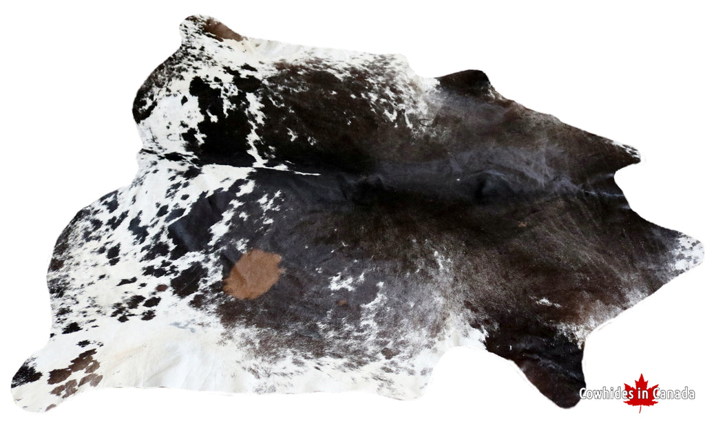 99051- XL Exotic Cowhide Rug -BIG SIZE  Premium Collection