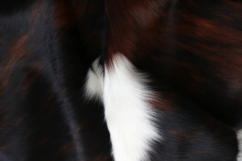 99212- Cowhide Rug Tricolor - Premium Collection