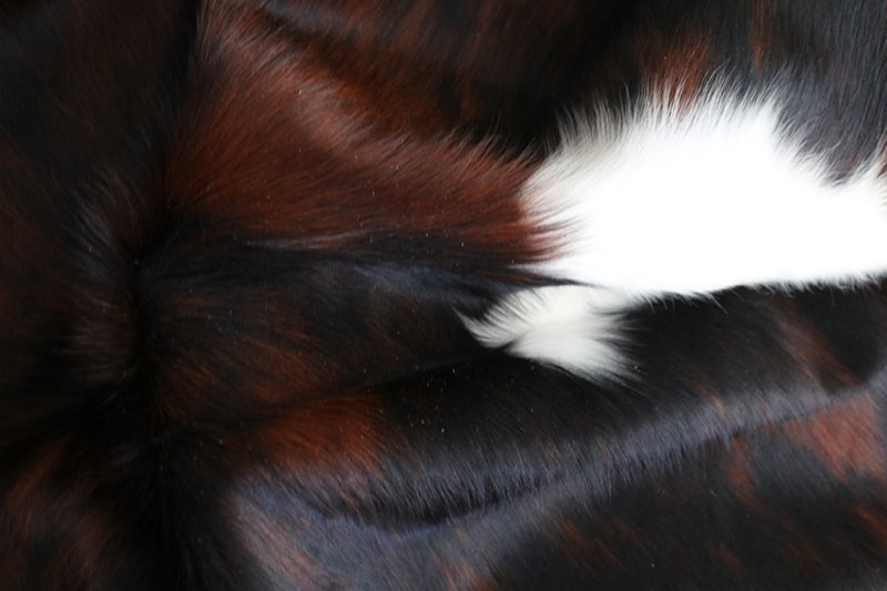 99212- Cowhide Rug Tricolor - Premium Collection