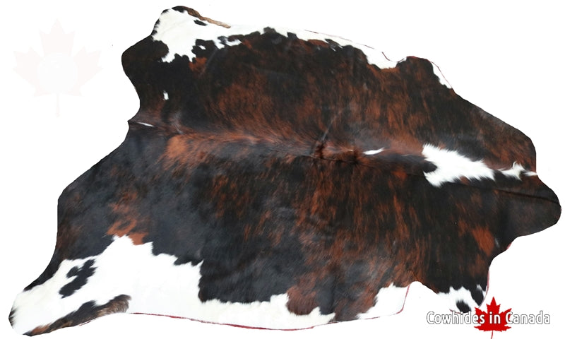 99212- Cowhide Rug Tricolor - Premium Collection