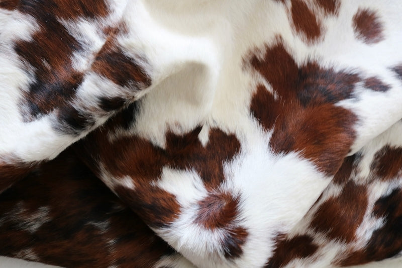 99221- Tricolor Cowhide Rug -  Premium Collection