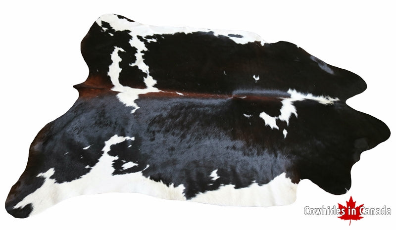 99223- Tricolor Cowhide Rug  - Premium Collection