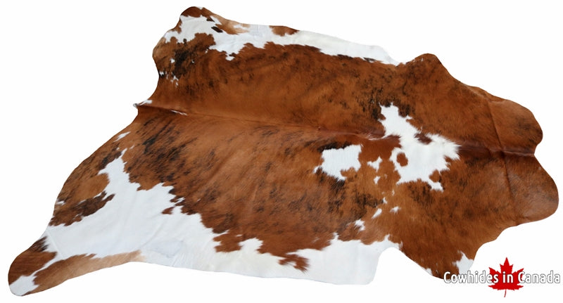 99229- Cowhide Rug Tricolor - Premium Collection
