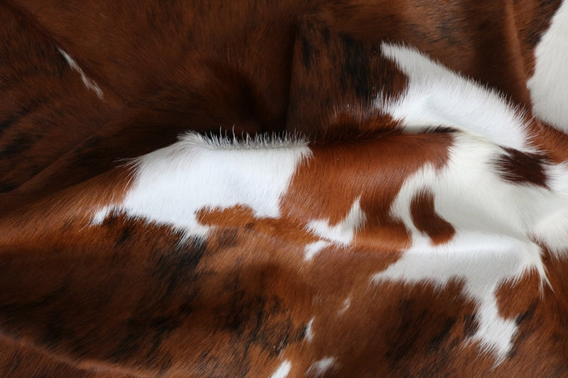 99229- Cowhide Rug Tricolor - Premium Collection