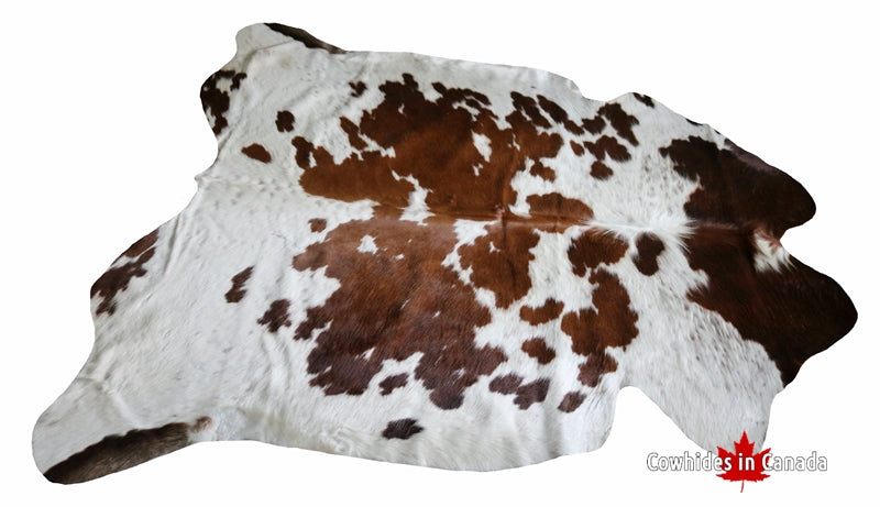 99234- Brown and White Cowhide Rug  -  Premium Collection