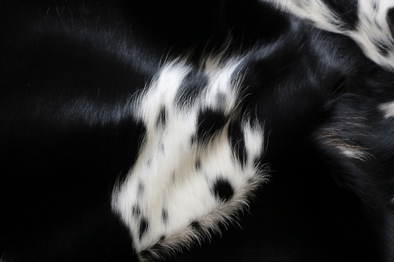 99242- Black and White Cowhide Rug  - Premium Collection