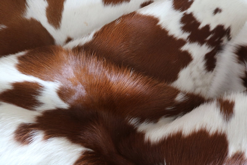 99244- Brown and white Cowhide Rug  - Premium Collection