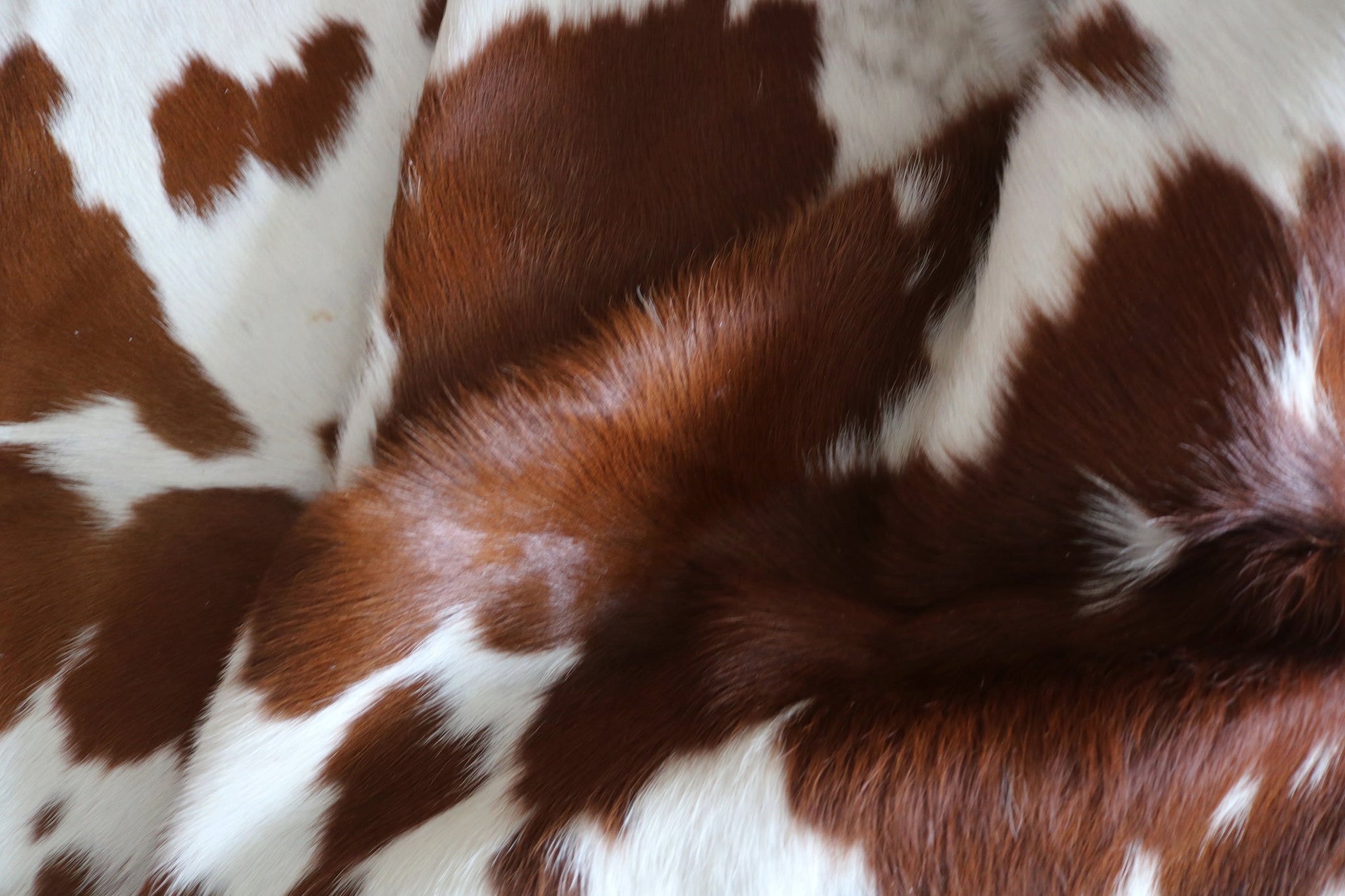 99244- Brown and white Cowhide Rug  - Premium Collection