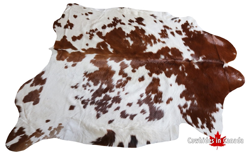 99244- Brown and white Cowhide Rug  - Premium Collection