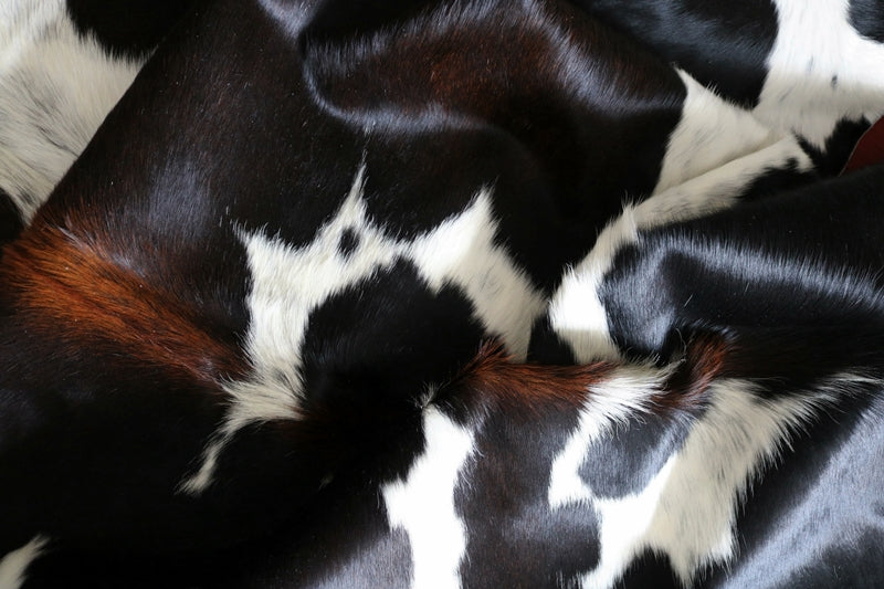 99247- Cowhide Rug Tricolor  - Premium Collection
