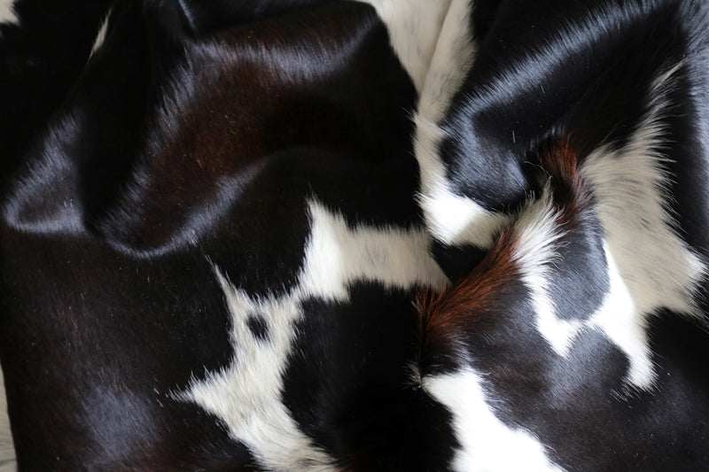 99247- Cowhide Rug Tricolor  - Premium Collection