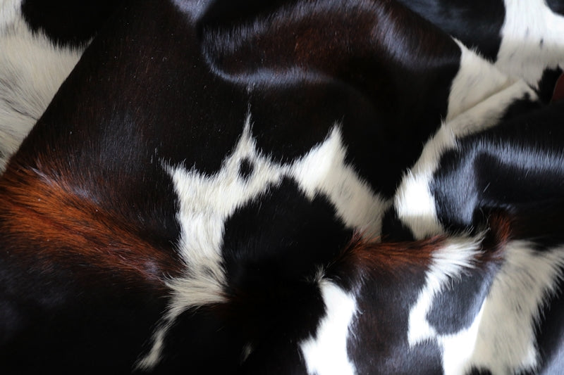 99247- Cowhide Rug Tricolor  - Premium Collection