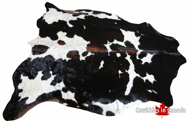 99247- Cowhide Rug Tricolor  - Premium Collection