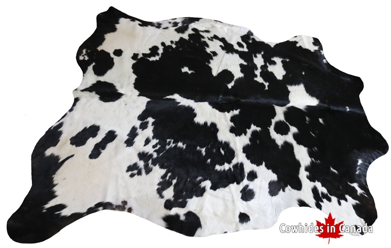 99250- Black and White Cowhide Rug  - Premium Collection