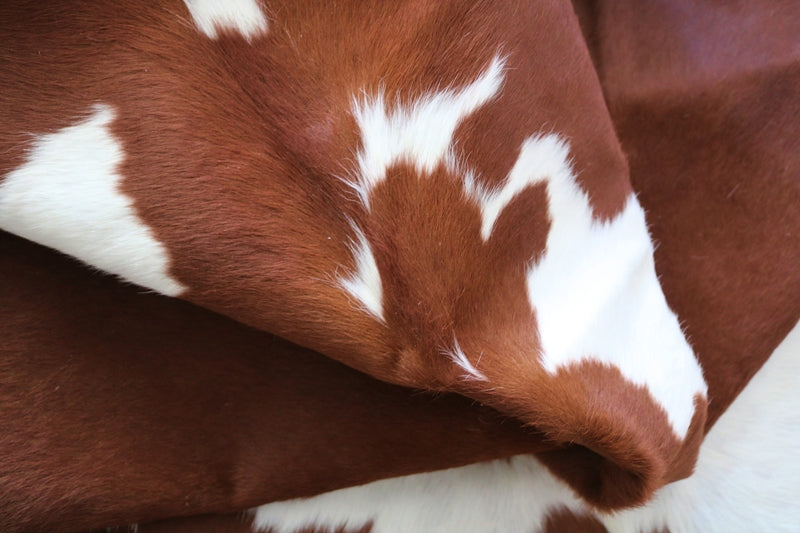 99262- Brown and White Cowhide Rug - Premium Collection