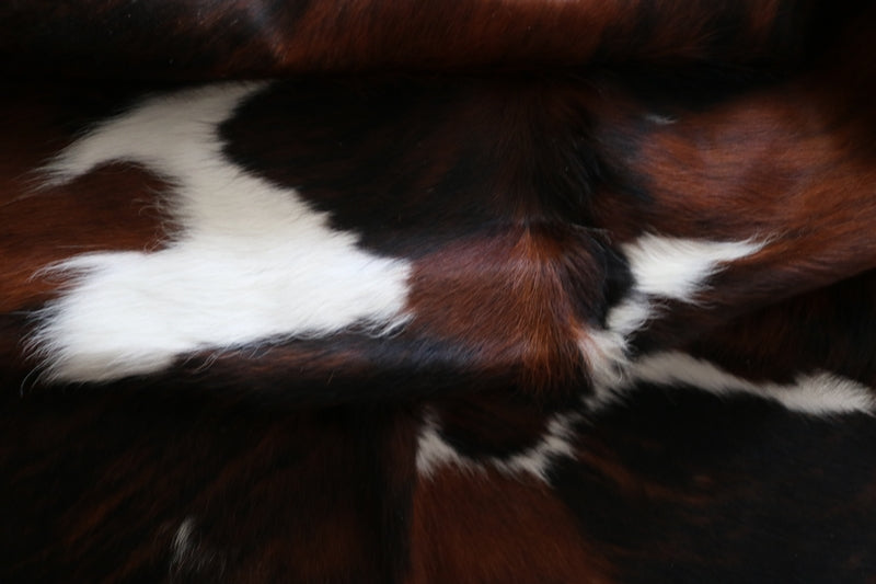 99264- Cowhide Rug Tricolor - Premium Collection