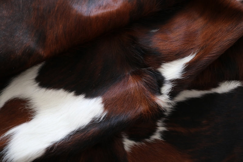 99264- Cowhide Rug Tricolor - Premium Collection
