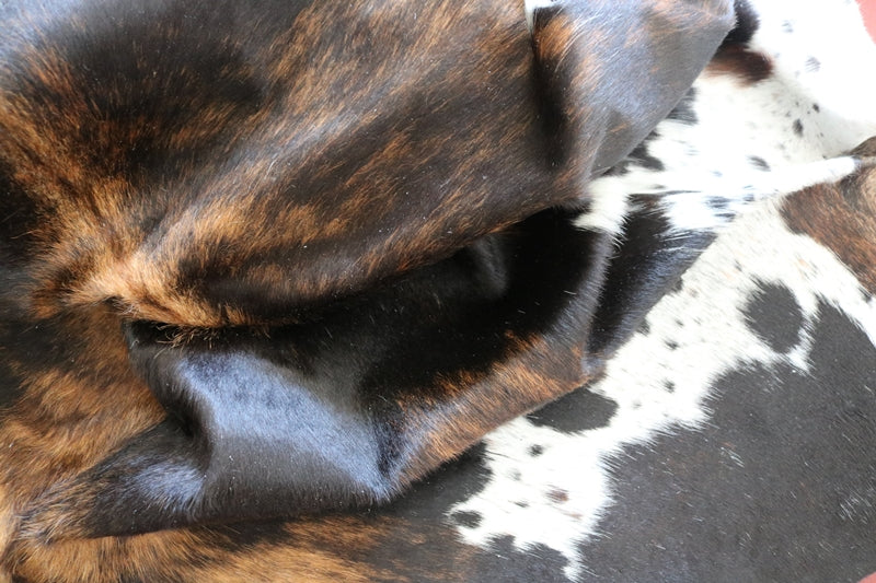 200526- Cowhide Rug Tricolor - Premium Collection