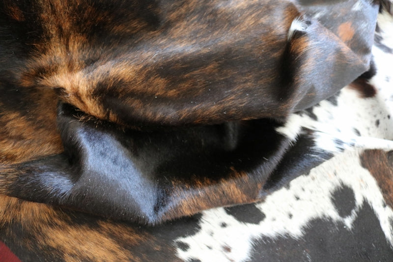 200526- Cowhide Rug Tricolor - Premium Collection