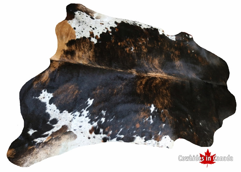 200526- Cowhide Rug Tricolor - Premium Collection