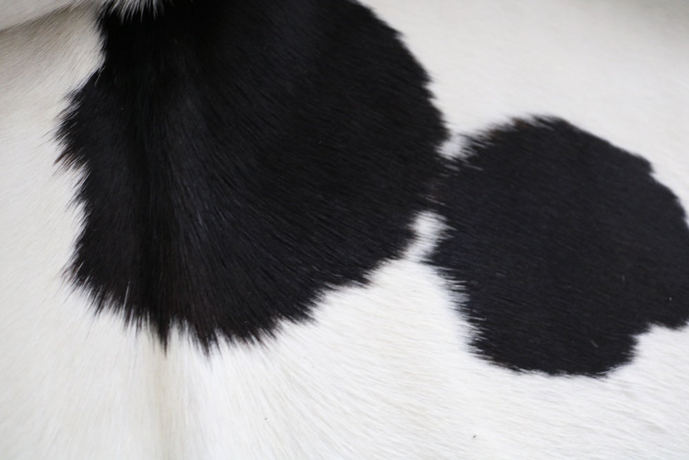 white and black cowhide rug