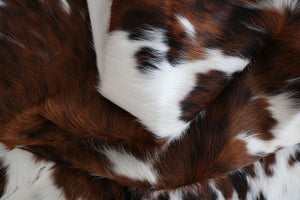 Big Real XXXL Cowhide Rug Tricolor. Premium Collection. Code 98014