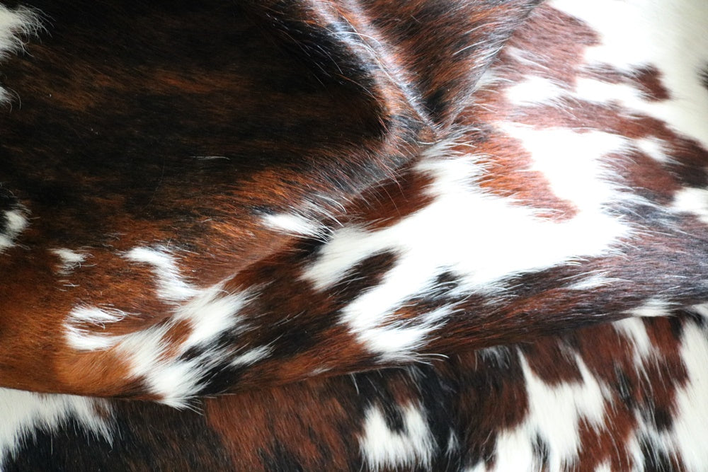 Big Real XXXL Cowhide Rug Tricolor. Premium Collection. Code 98021