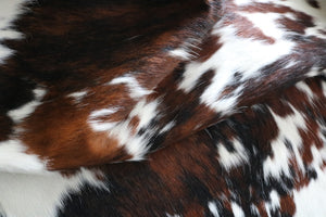 Big Real XXXL Cowhide Rug Tricolor. Premium Collection. Code 98021