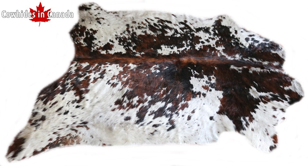 Big Real XXXL Cowhide Rug Tricolor. Premium Collection. Code 98006