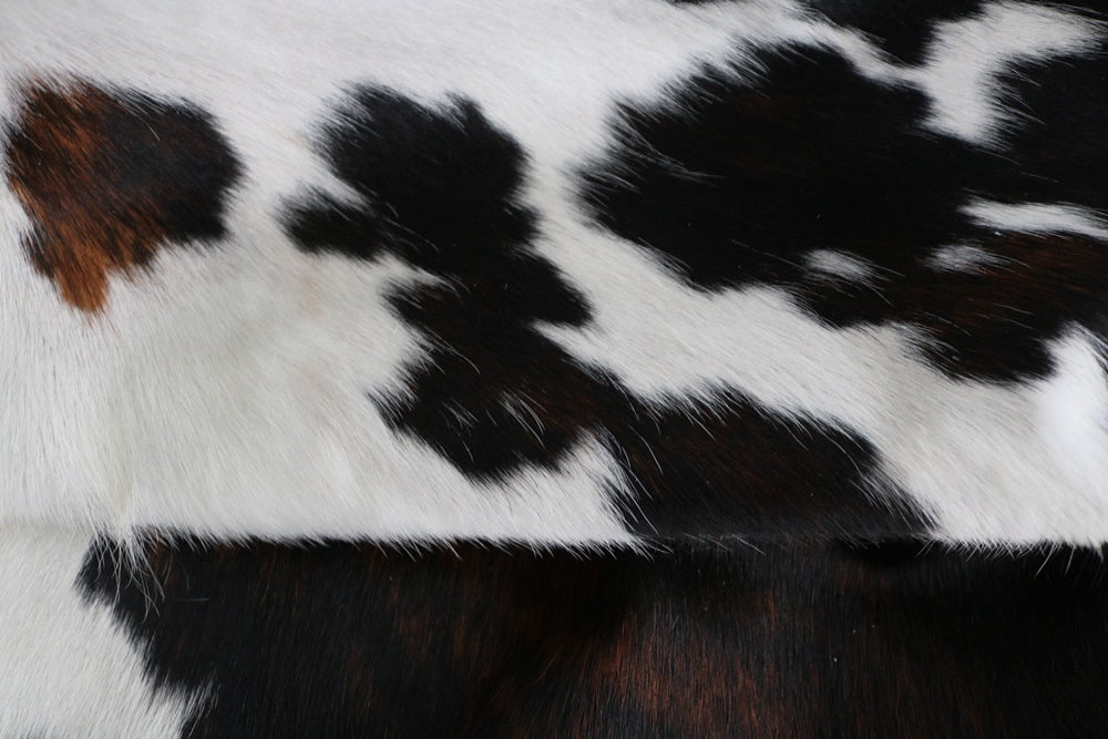 Big Real XXXL Cowhide Rug Tricolor. Premium Collection. Code 98027