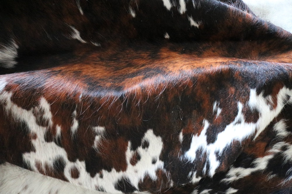 Big Real XXXL Cowhide Rug Tricolor. Premium Collection. Code 98006