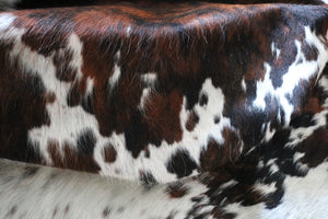 Big Real XXXL Cowhide Rug Tricolor. Premium Collection. Code 98006