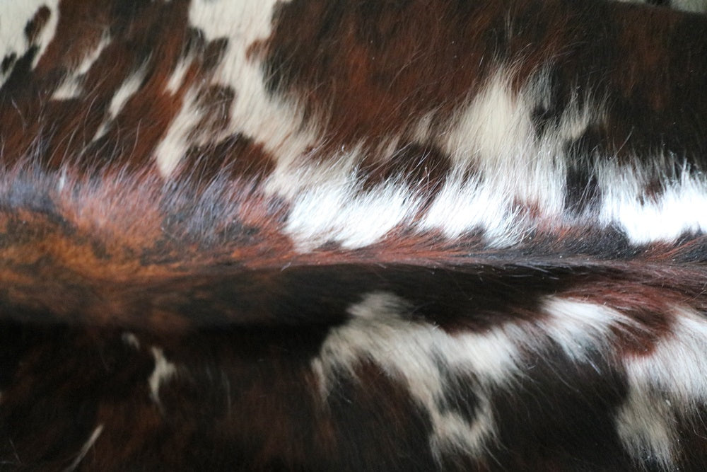 Big Real XXXL Cowhide Rug Tricolor. Premium Collection. Code 98006