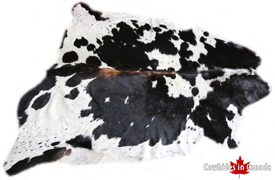 Real Cowhide Rug Tricolor. Premium Collection. Code 98007