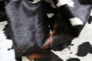 Real Cowhide Rug Tricolor. Premium Collection. Code 98007