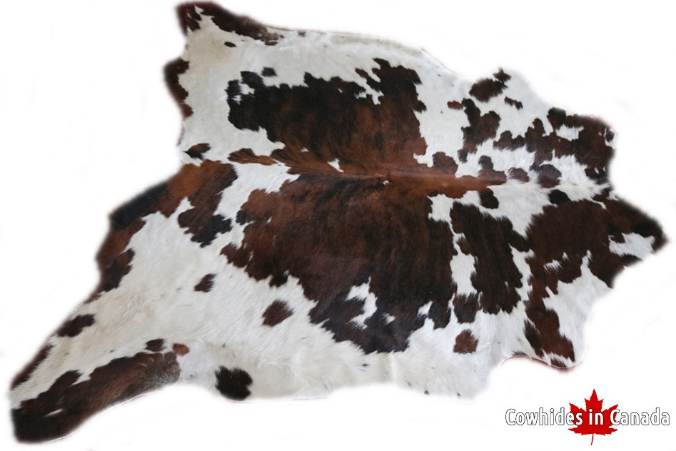 Real Cowhide Rug Tricolor. Premium Collection. Code 98011