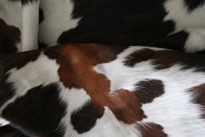 Real Cowhide Rug Tricolor. Premium Collection. Code 98011