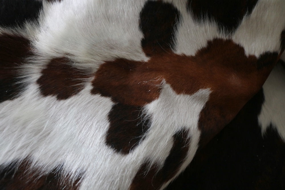 Real Cowhide Rug Tricolor. Premium Collection. Code 98011