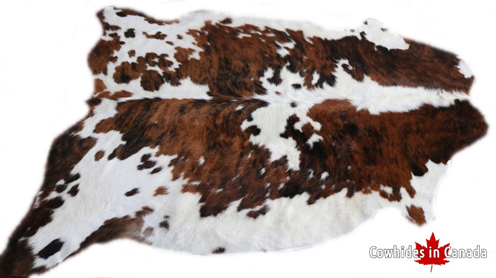 Real Cowhide Rug Tricolor. Premium Collection. Code 98012